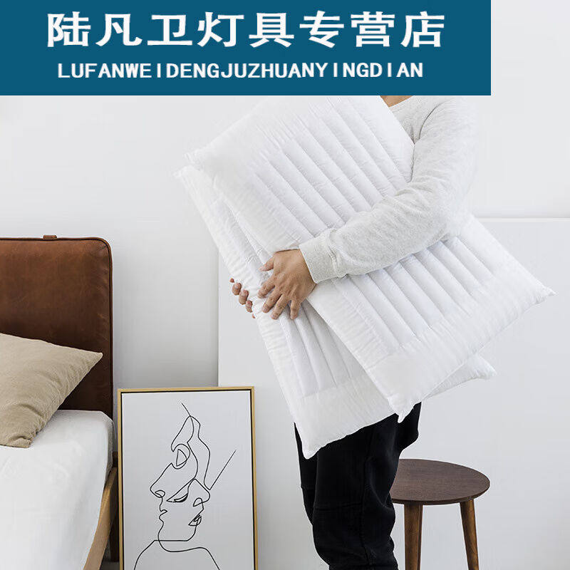 枕头透气冷暖枕硬枕头舒适单人椎枕芯枕一对冷暖枕一个