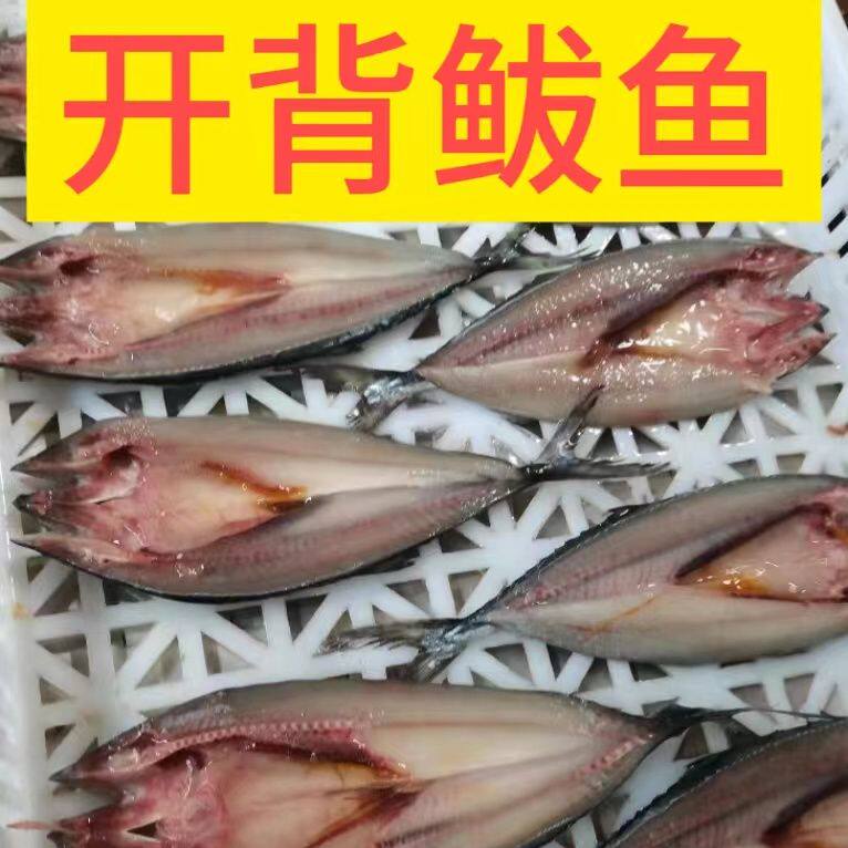 开背鲅鱼商用炸鱼一斤3条去内脏开背新鲜冷冻马鲛鱼鲅鱼食用鲜活