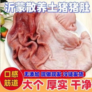 农家新鲜散养特厚特大猪肚整只现杀土猪无油冷冻肚子干净煲汤生猪