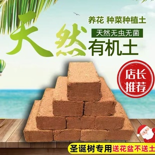 圣诞树专用有机土【店长种植土推荐】透气有机