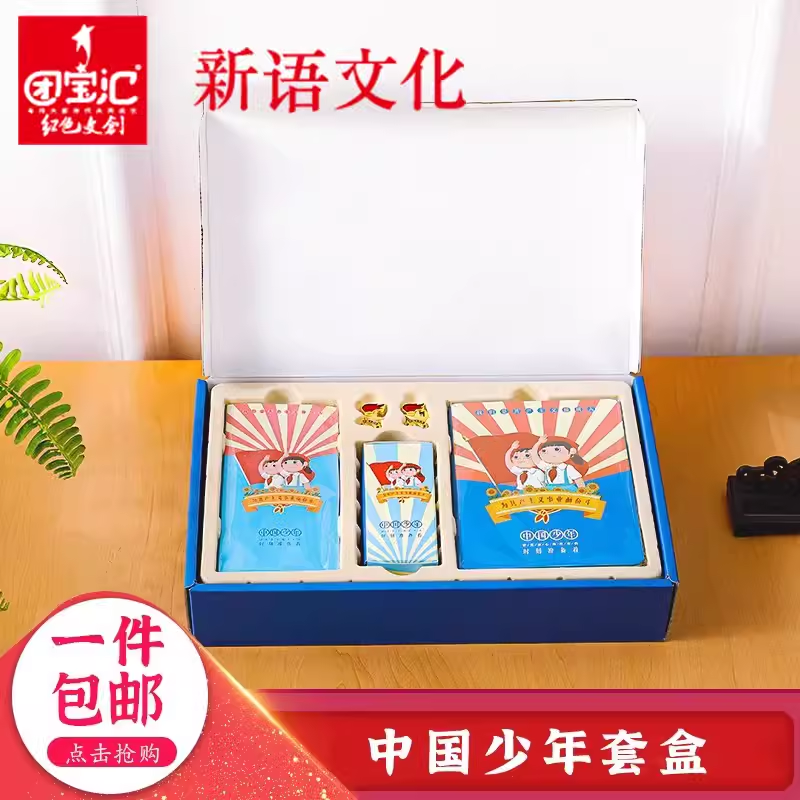 新语文化 中国少年套盒青少年笔记本可撕记事便签纸耐斯贴错题手工纸胶带别针款少先队队徽多款式组合 团宝汇