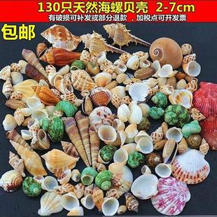 居家鱼缸简易小贝壳多功能礼物小号原宿风贝壳装 diy 饰品