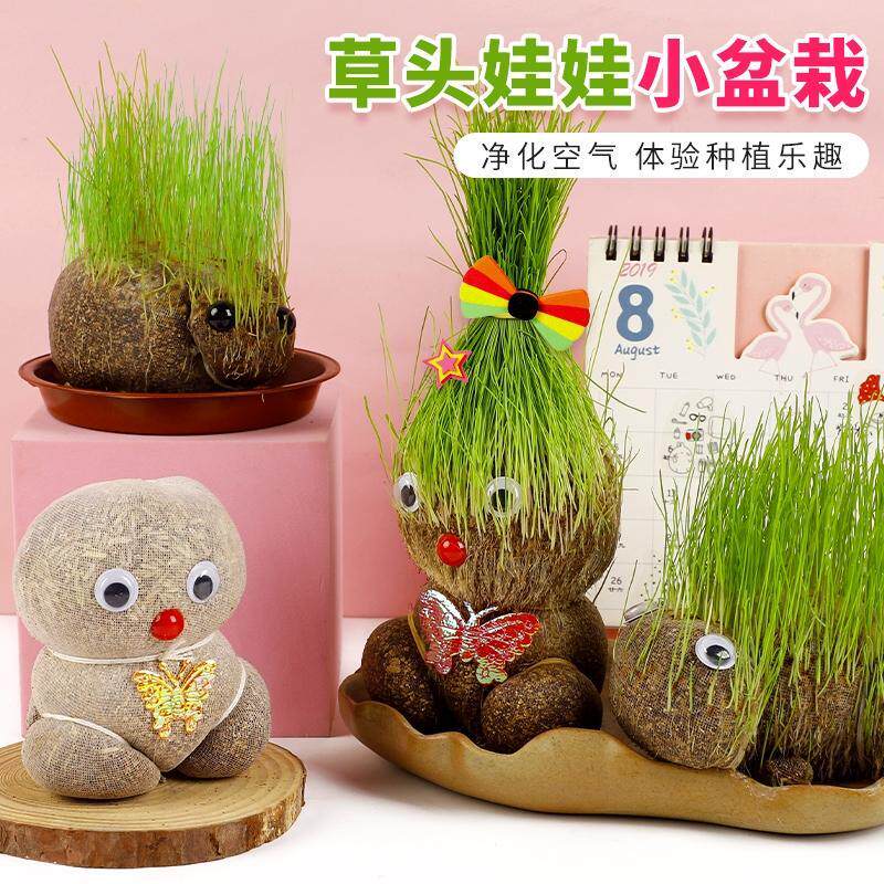 浇水长草头发娃娃小盆栽绿头上头顶幼儿园水培植物办公室桌面迷你