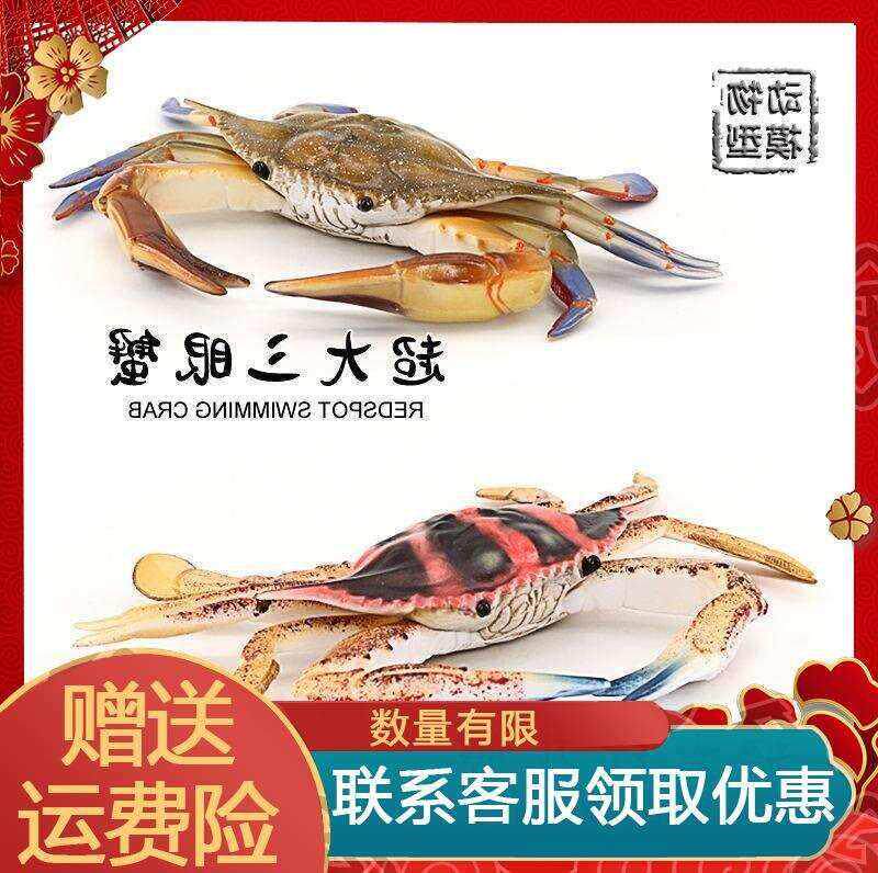 螃蟹玩具儿童仿真海洋生物动物玩具 超大梭子蟹 红花蟹 三眼小孩