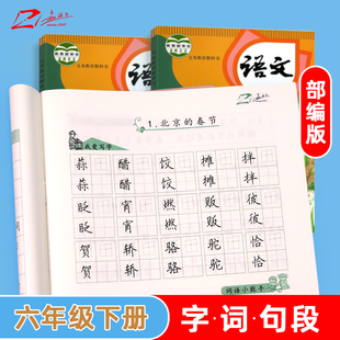 新版 小學同步六年級下冊硬筆楷書梯形格字帖兒童每日一練硬筆書法字帖楷書臨摹練字帖 趙汝飛練字部編版