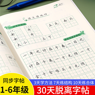 字帖 赵汝飞练字帖教材小学生同步练字贴小学一年级二年级三年级四年级五年级六年级上下册人教部编版 楷书临摹硬笔字帖每日一练正版