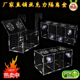 孔雀鱼小鱼繁殖隔离盒鱼缸鱼苗分隔网凤尾鱼孕母鱼孵化器生产隔离
