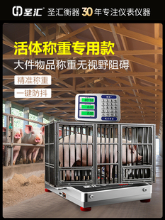 活体专用分离式无线精准电子秤300公斤600kg商用高精度便携台秤