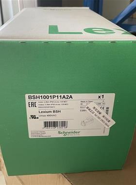 议价BSH1001P11A2ABSH 电机 IEC 100MM 3,4 NM 带键 IP40