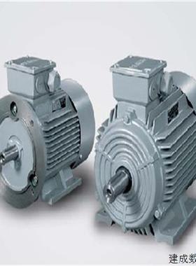 议价产品电机1LE1002-0BB32/0CB22/0CB32/0DB32-2AA4/2FA4/2JA4