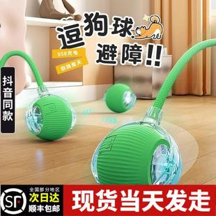 猫猫咪逗滚球棒智能电动滚球玩具遛狗自遛猫解闷逗自动嗨猫球突突