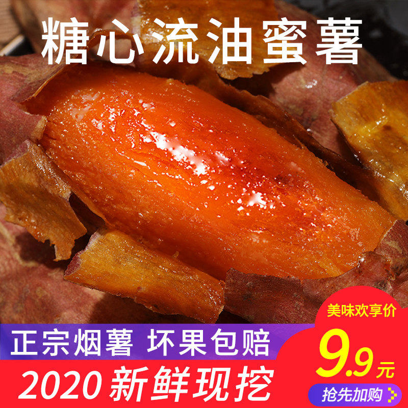 蜜薯糖心红薯地瓜新鲜农家山东沙地红心烤密薯流油烟薯25番薯山芋