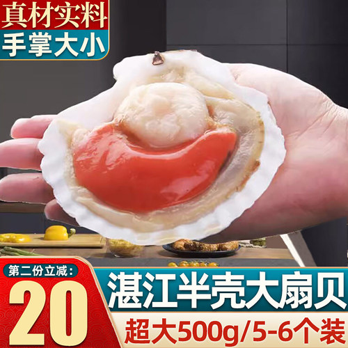 新鲜超大半壳扇贝500g