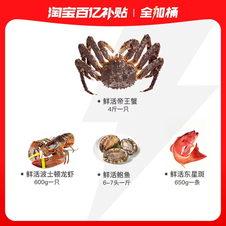 【全加桶】鲜活帝王蟹4斤波龙600g鲍鱼6-7头一斤东星斑650g