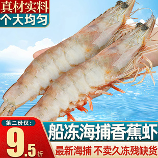香蕉虾鲜活野生船冻特大明虾基围虾对虾新鲜大虾速冻海鲜水产