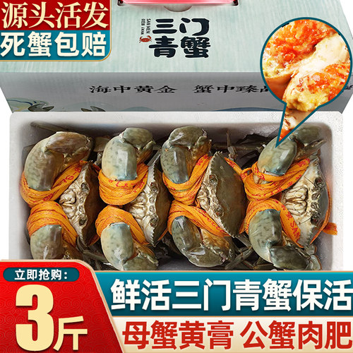正宗三门青蟹全母红膏蟹保活