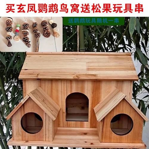 木质玄凤鹦鹉繁殖箱松果
