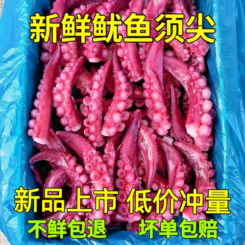 中号鱿鱼须新鲜冷冻烧烤铁板烧