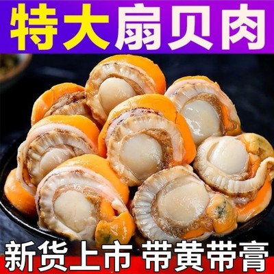 扇贝肉特大号新鲜冷冻原汁皇冠贝长岛北城红扇贝野生带黄商用批发