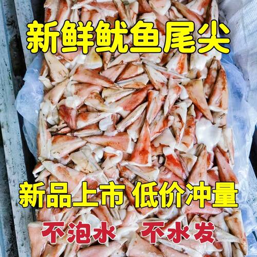 鱿鱼尾尖鱿鱼耳朵尖鱿鱼尾巴鱿鱼尖商用新鲜冷冻火锅烧烤食材批发