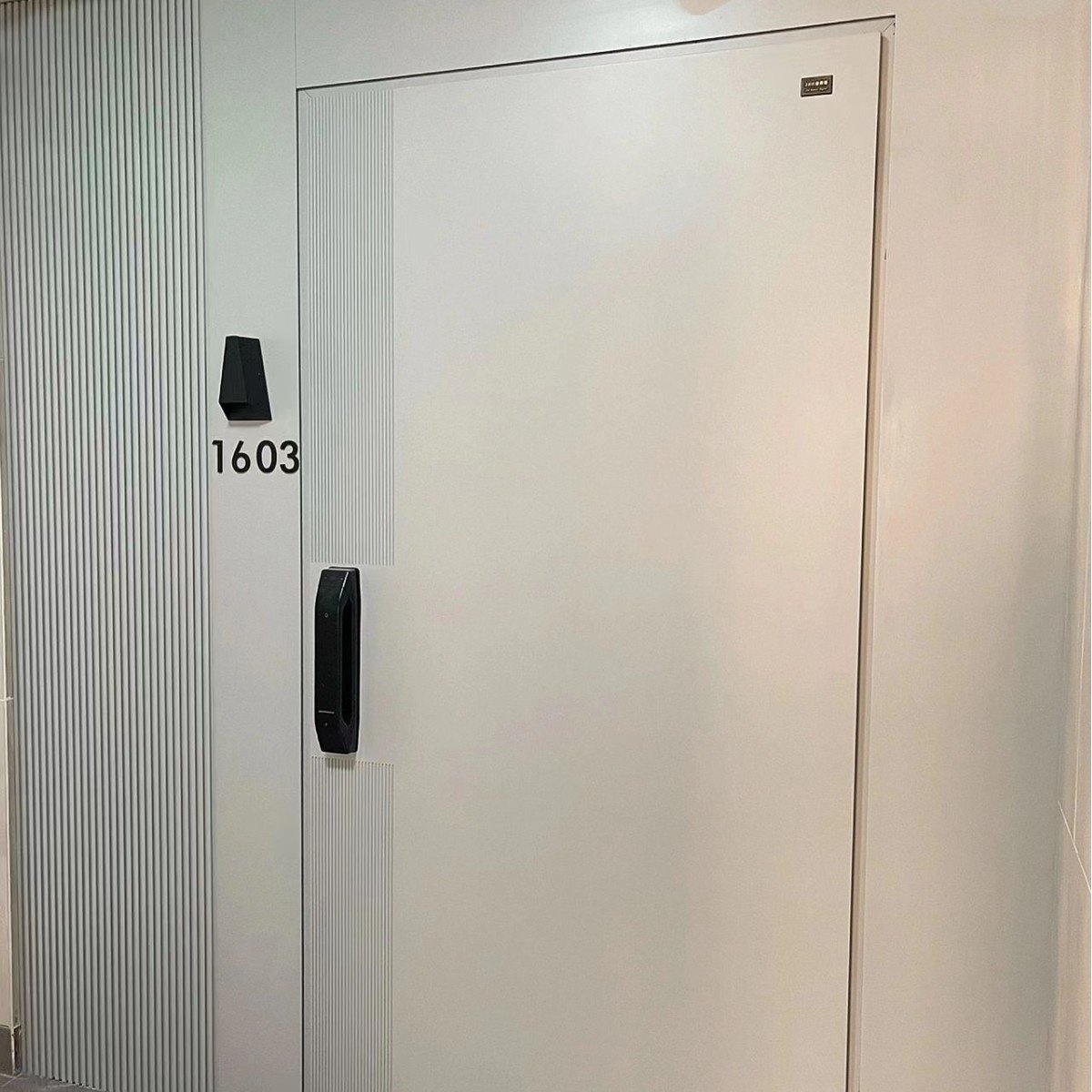 2023新款新工艺新设计一门一景门景一体精雕铸铝门入户门单门子母