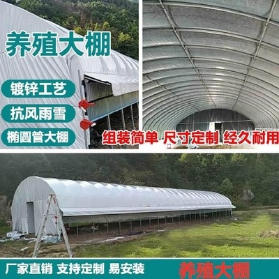 家用温室大棚骨架钢管方管养殖养鸡场鸡舍配件固定种植蔬菜花卉