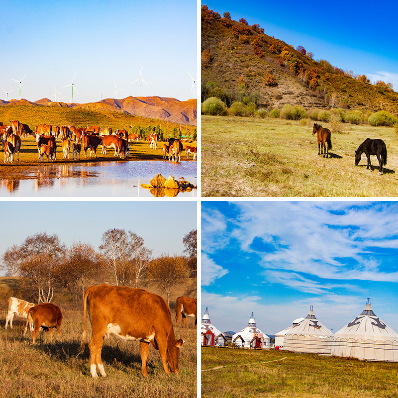 秋天草原户外牧场直播背景布3d立体壁纸画直播间场景布置高级感杂志
