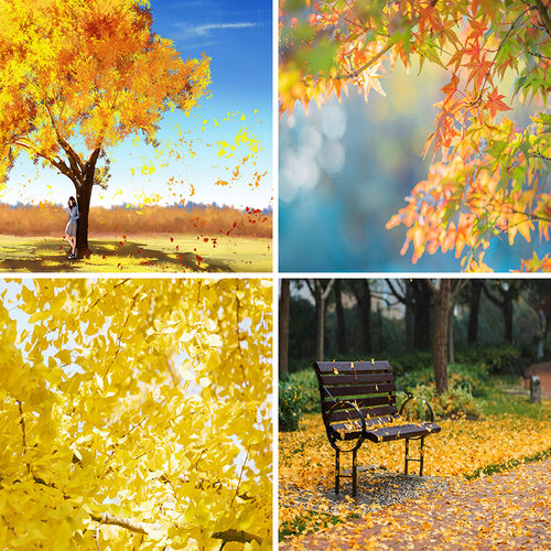 银杏树秋季风格直播背景布3d立体背景墙拍摄枫树落叶儿童摄影场景布置高级感秋天直播间背景墙