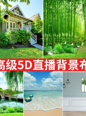 直播主播背景布5d立体高级感真实