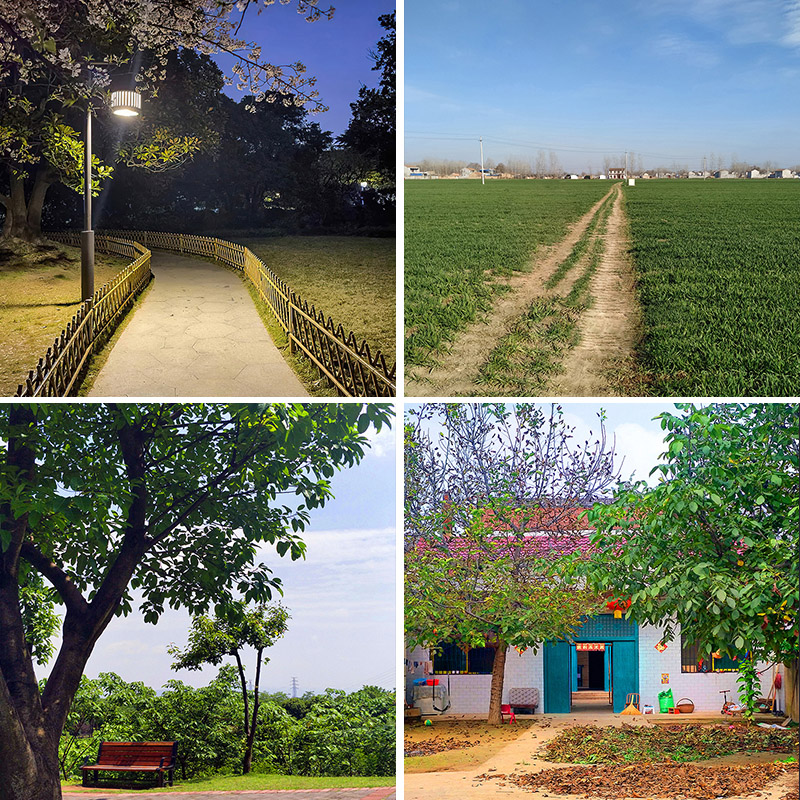 直播间背景布5d高级感高清