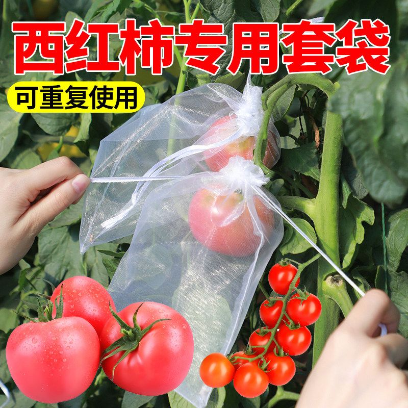 水果套袋防鸟防虫专用网袋通用袋葡萄无花果枇杷桃子草莓保护袋子