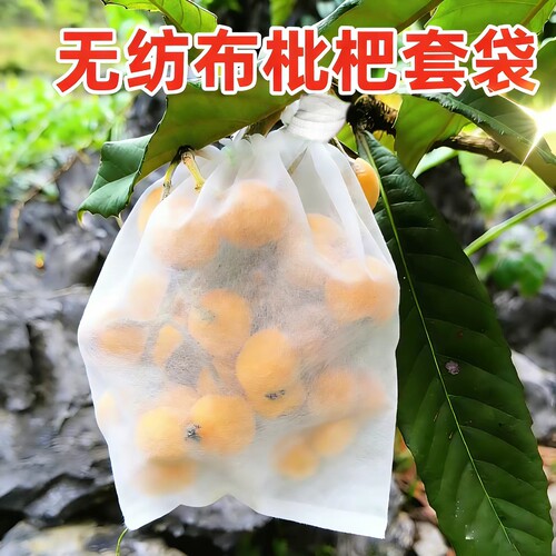 枇杷专用套袋套袋无纺布水果露天专用透光防鸟防水雨瓜果防虫套袋
