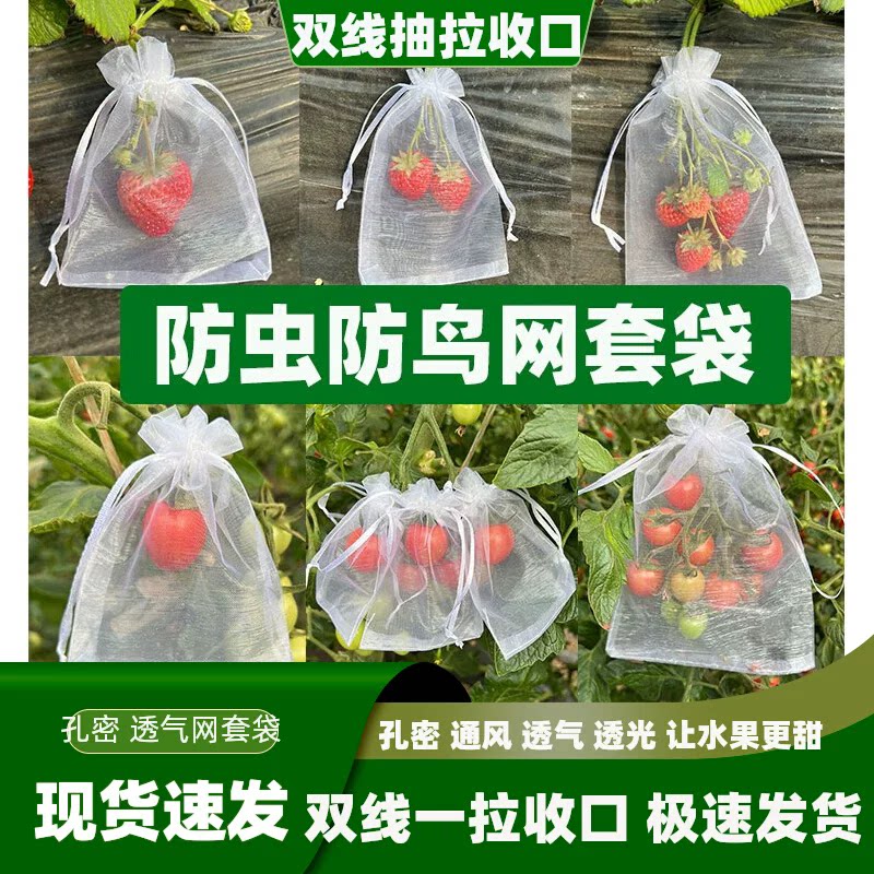 水果网套袋防虫防鸟纱网袋草莓套袋葡萄透气套袋无花果番石榴套袋