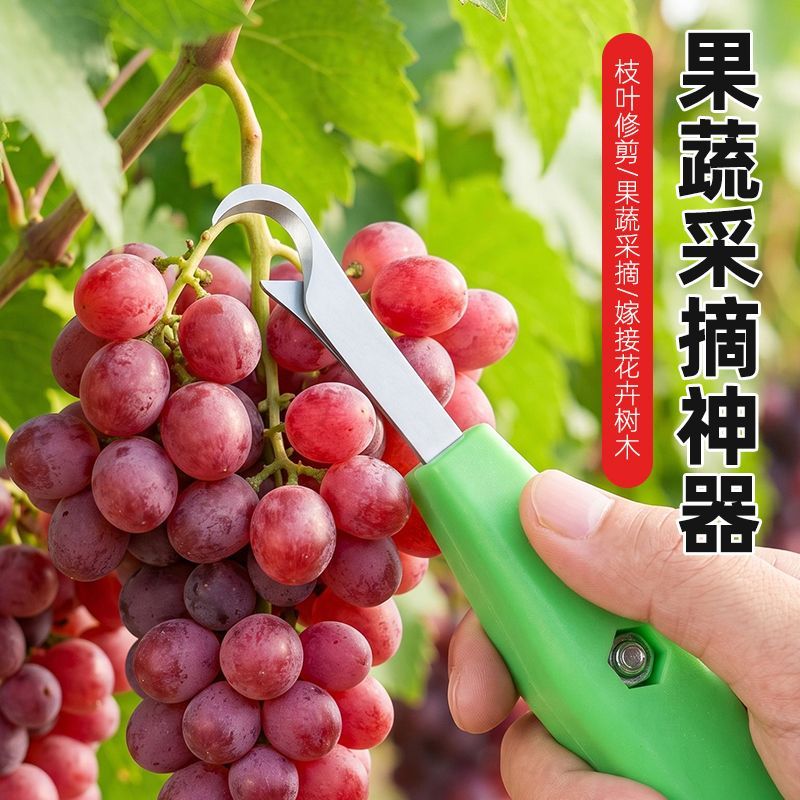 新款采摘花椒专用神器农用剪
