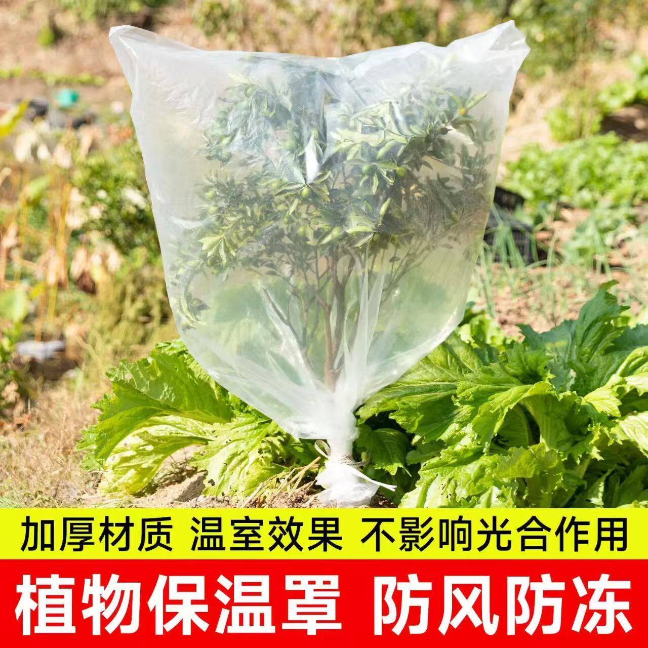 绿植物防冻保温袋塑料膜花卉盆栽过冬保护罩树木防寒布防尘袋透明