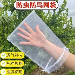 水果套袋防虫防鸟专用网袋葡萄无花果瓜果蔬菜石榴橙子保护网套袋