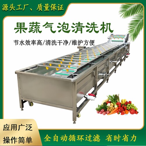 果蔬气泡清洗机小葱毛葱大蒜头韭菜洗泥机辣椒大枣毛豆秋葵洗菜机