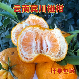 正宗云南宾川桔子椪柑大果当季新鲜孕妇水果现摘现发整箱9斤