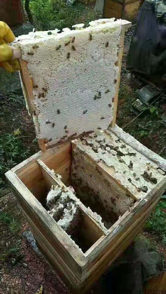 元章蜂箱 活框土养蜂 立式蜂箱高窄蜂箱诱蜂箱中蜂箱交尾箱