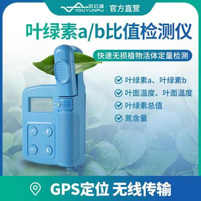 叶绿素生化指标测定仪叶绿素ab值绿素浓度检测仪叶绿素真值测定仪