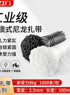 塑料黑色绑带强力捆扎绑带固定座束线带尼龙扎带3系列国标3*100mm