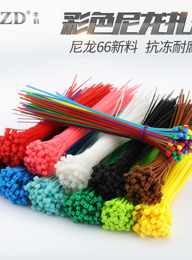 彩色扎带尼龙塑料自锁式红色绿色黄色扎线带捆绑带多彩扎带勒死狗