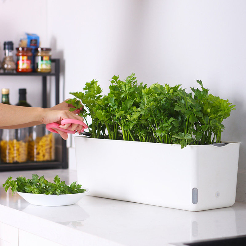 室内阳台种菜盆自吸水懒人长方形长条花盆盆栽蔬菜专用种植箱花箱