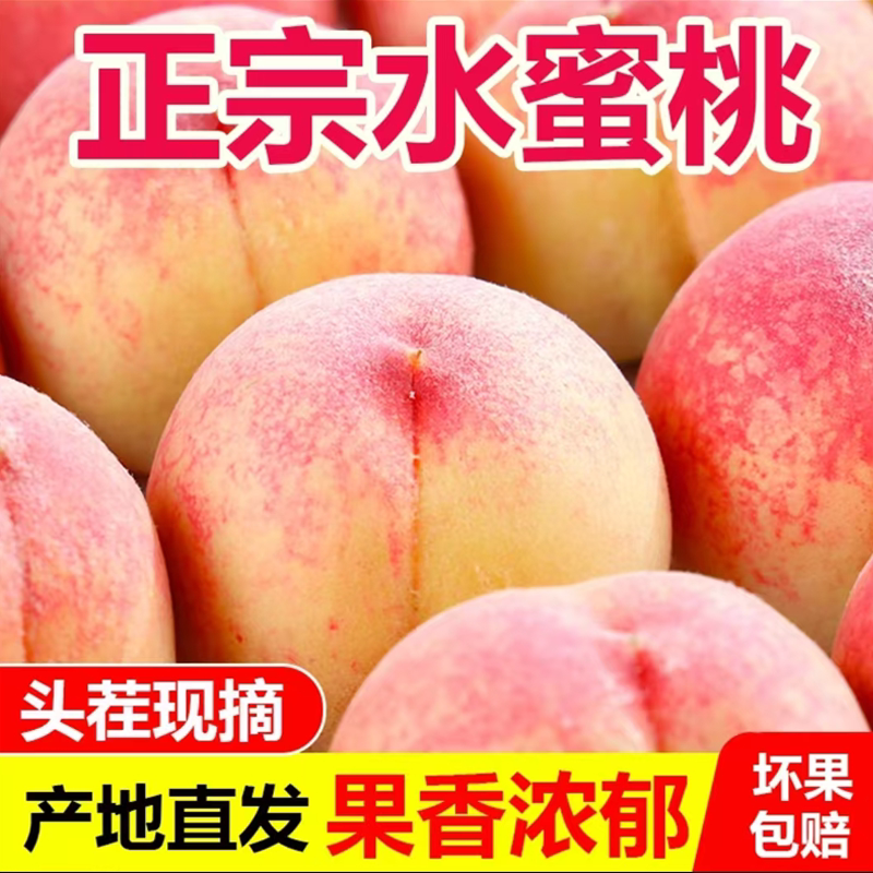 现货!现摘现发,正宗水蜜桃