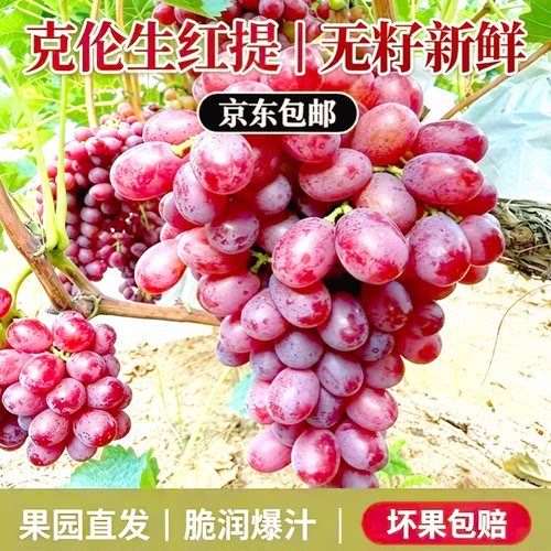 京东/顺丰包邮新鲜直达