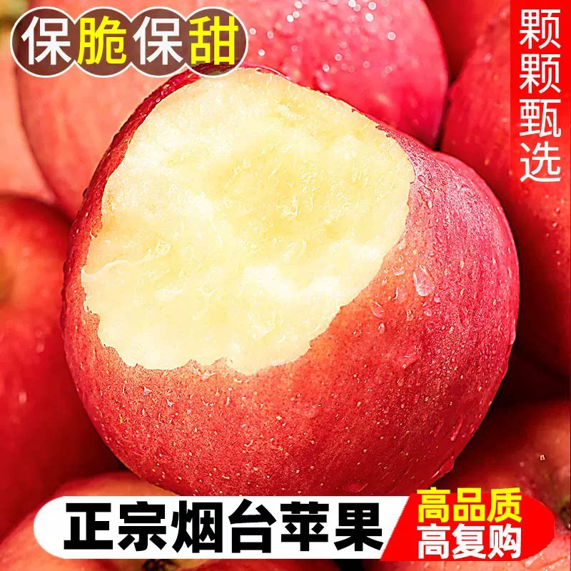 正宗山东烟台红富士苹果好脆好甜图片