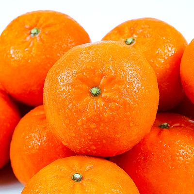 【桔子爆卖榜】正宗武鸣沃柑！