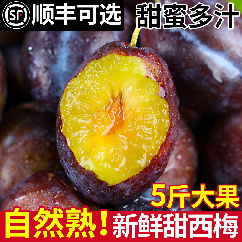 西梅鲜果5斤现摘新鲜水果当季整箱李子应蓝蜜大西梅时令法兰顺丰