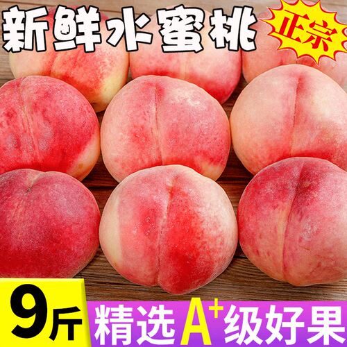 现摘现发！香甜多汁！正宗水蜜桃