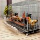 鸡下蛋 笼子家用养鸡特大号自动清粪折叠养殖笼鸡舍铁丝网鸭鹅笼